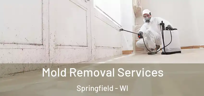  Mold Removal Services Springfield - WI