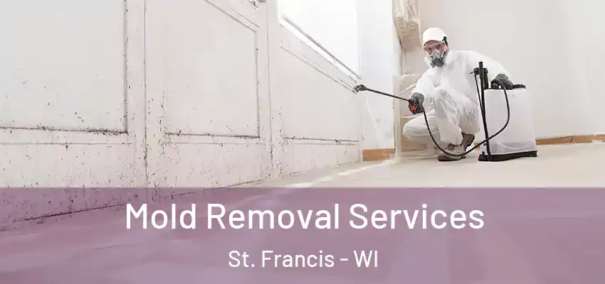  Mold Removal Services St. Francis - WI