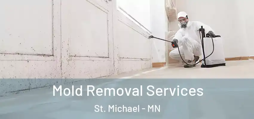 Mold Removal Services St. Michael - MN
