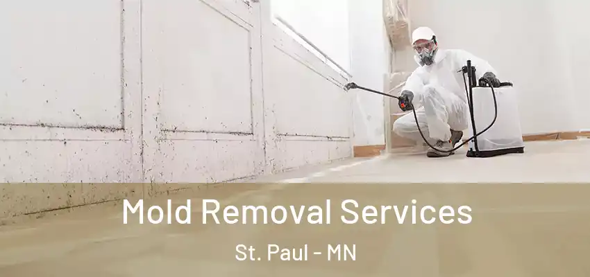  Mold Removal Services St. Paul - MN