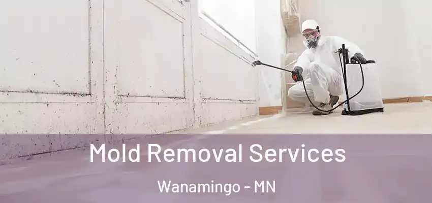 Mold Removal Services Wanamingo - MN