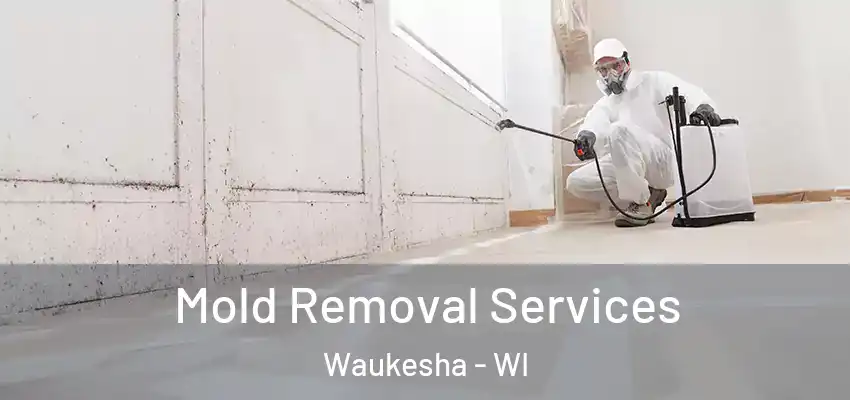  Mold Removal Services Waukesha - WI