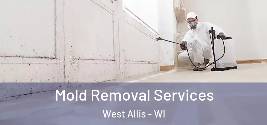  Mold Removal Services West Allis - WI