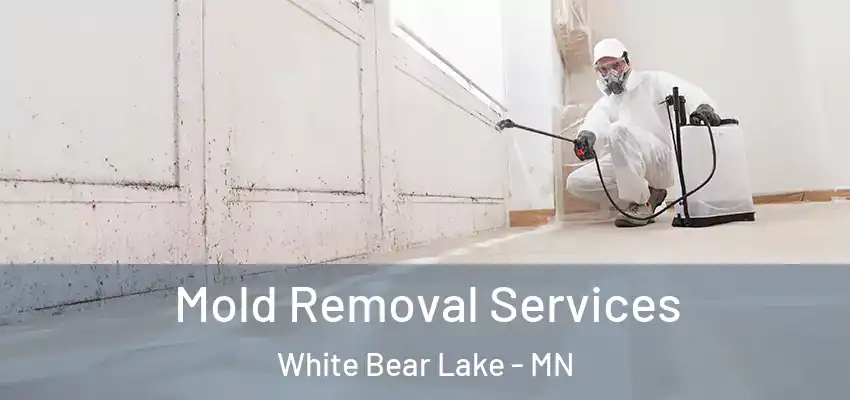  Mold Removal Services White Bear Lake - MN