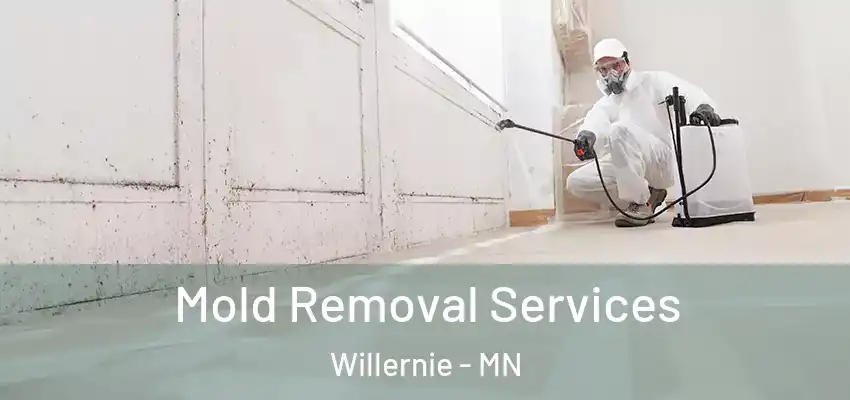 Mold Removal Services Willernie - MN