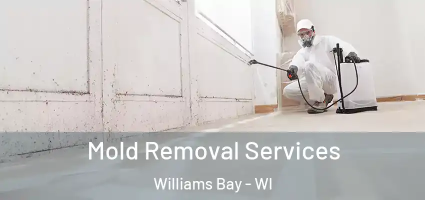  Mold Removal Services Williams Bay - WI