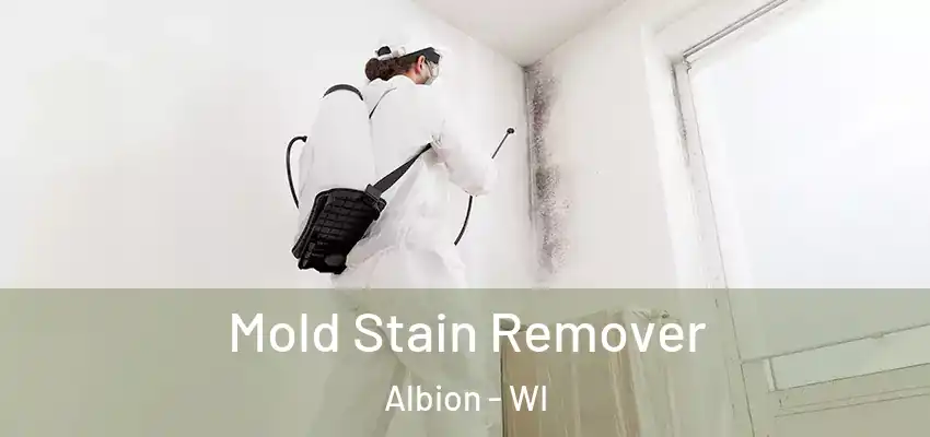  Mold Stain Remover Albion - WI