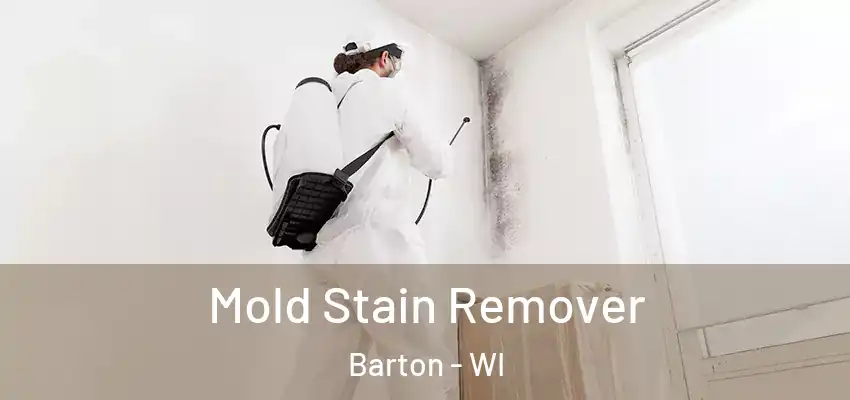  Mold Stain Remover Barton - WI