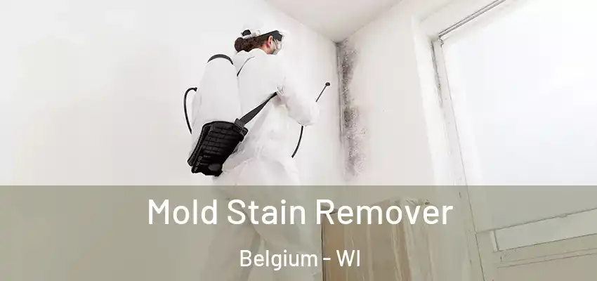 Mold Stain Remover Belgium - WI