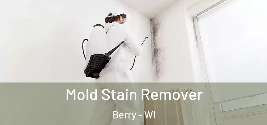 Mold Stain Remover Berry - WI