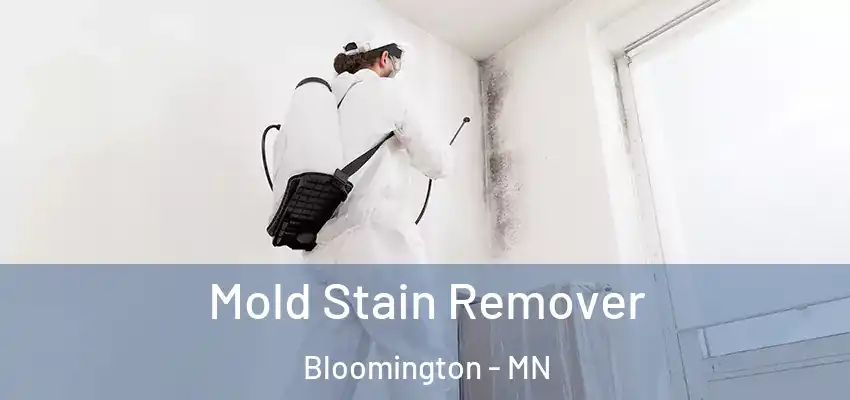  Mold Stain Remover Bloomington - MN