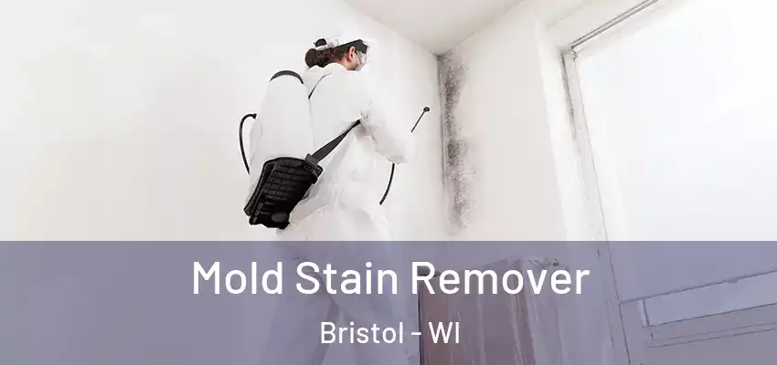  Mold Stain Remover Bristol - WI
