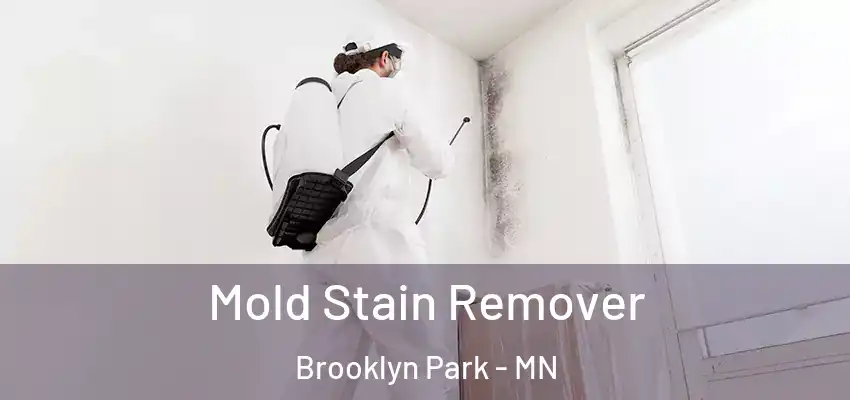 Mold Stain Remover Brooklyn Park - MN