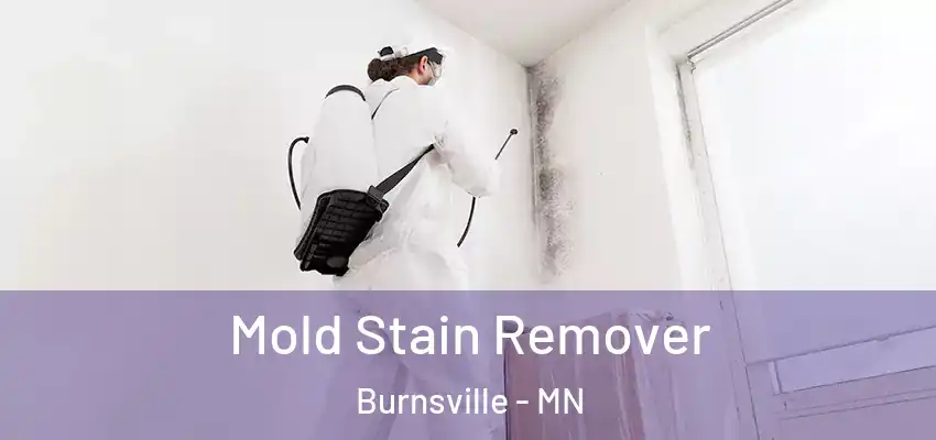  Mold Stain Remover Burnsville - MN