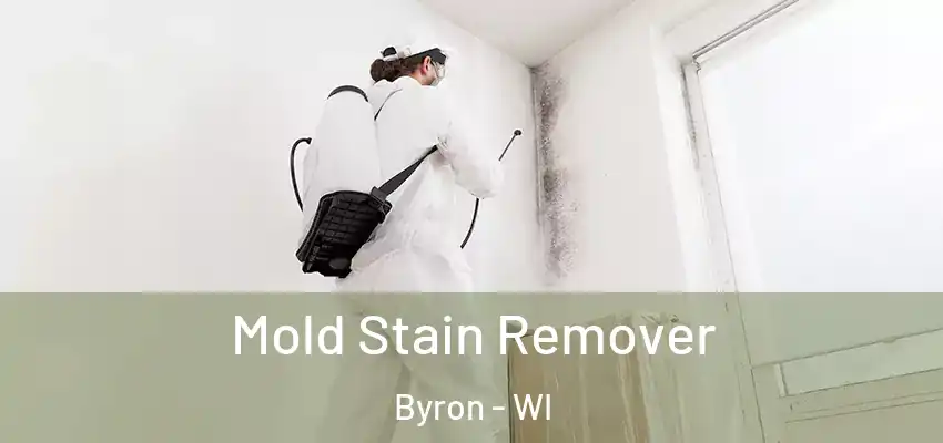  Mold Stain Remover Byron - WI