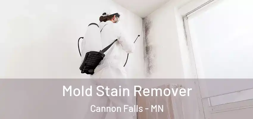 Mold Stain Remover Cannon Falls - MN