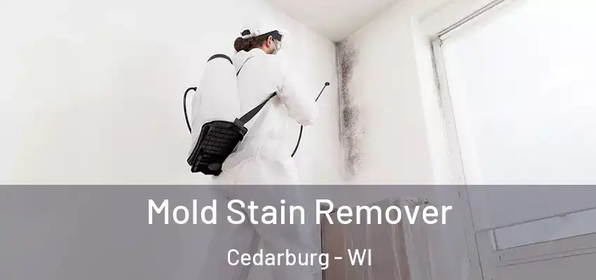 Mold Stain Remover Cedarburg - WI