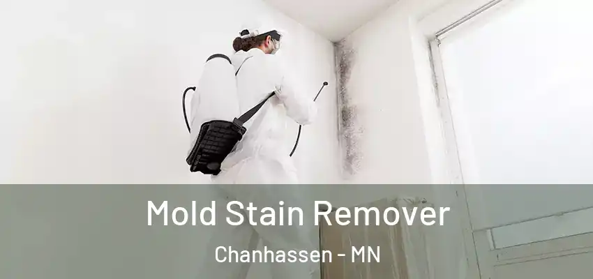  Mold Stain Remover Chanhassen - MN