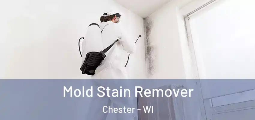  Mold Stain Remover Chester - WI