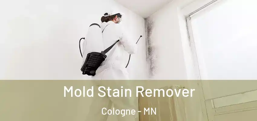  Mold Stain Remover Cologne - MN