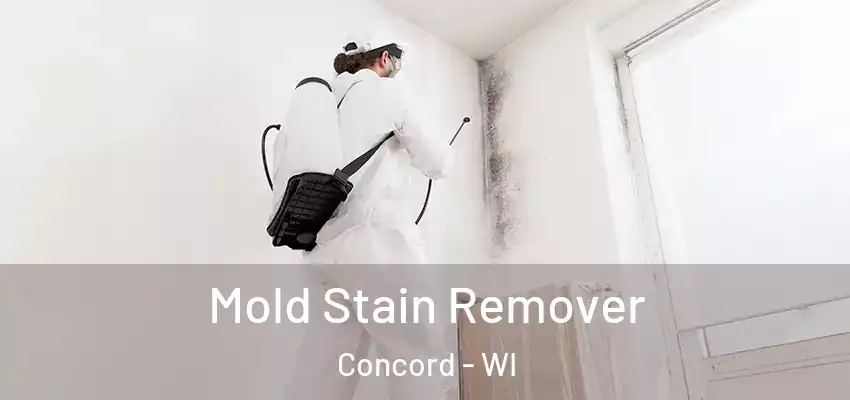  Mold Stain Remover Concord - WI