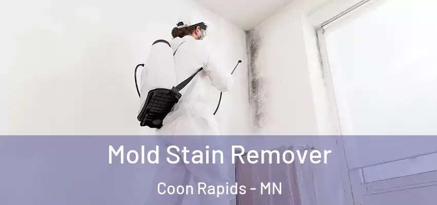 Mold Stain Remover Coon Rapids - MN