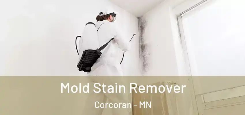  Mold Stain Remover Corcoran - MN