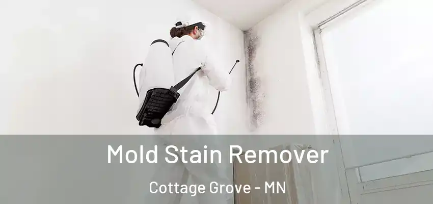  Mold Stain Remover Cottage Grove - MN