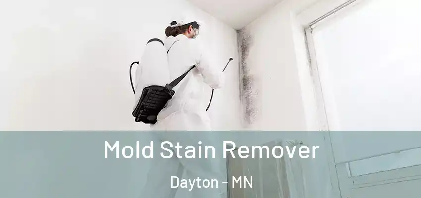  Mold Stain Remover Dayton - MN