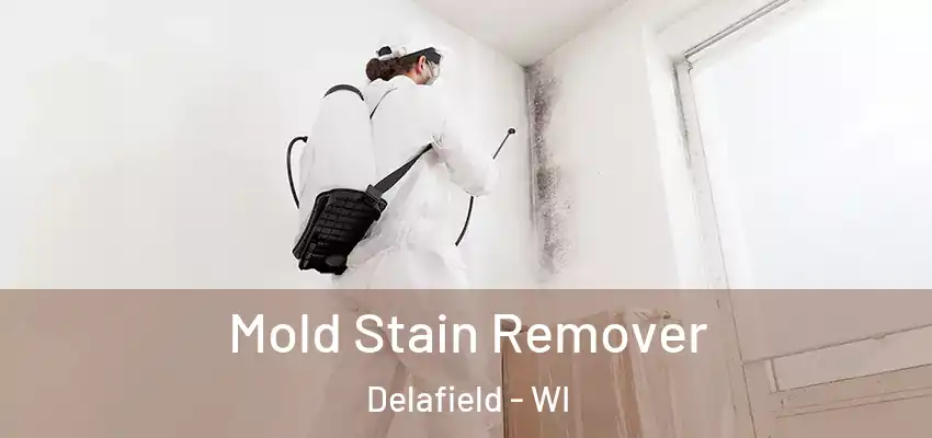  Mold Stain Remover Delafield - WI