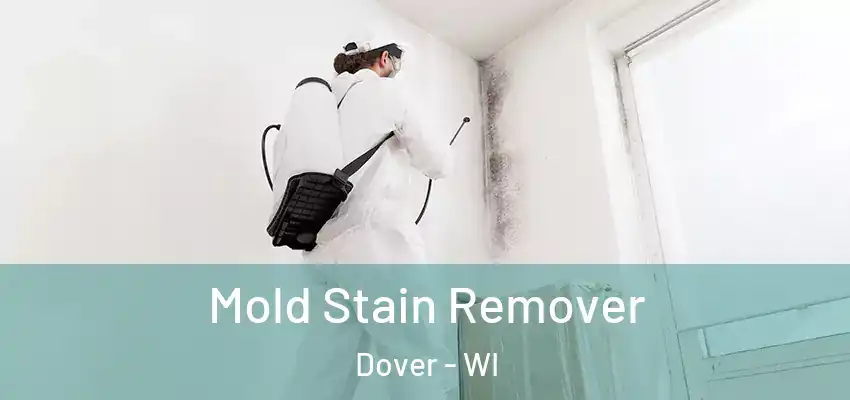  Mold Stain Remover Dover - WI