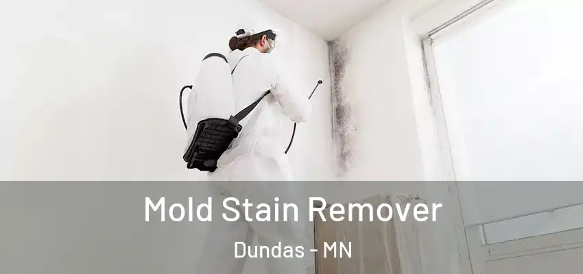 Mold Stain Remover Dundas - MN