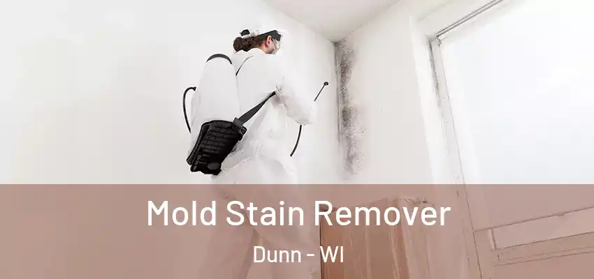  Mold Stain Remover Dunn - WI