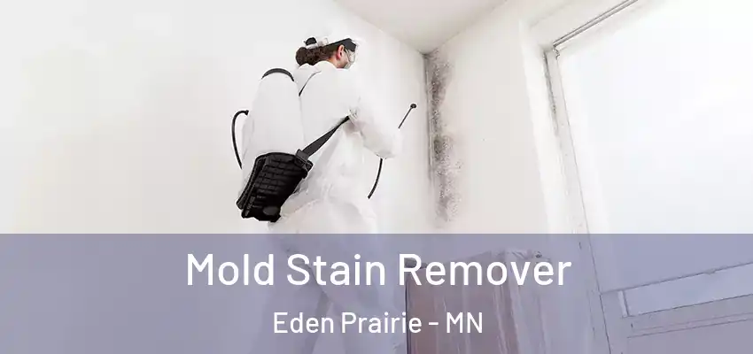  Mold Stain Remover Eden Prairie - MN