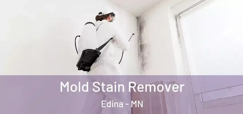 Mold Stain Remover Edina - MN