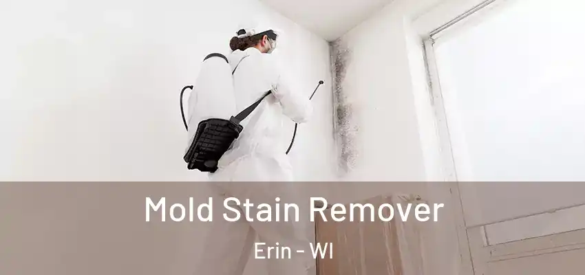  Mold Stain Remover Erin - WI