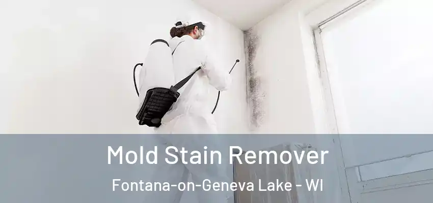  Mold Stain Remover Fontana-on-Geneva Lake - WI