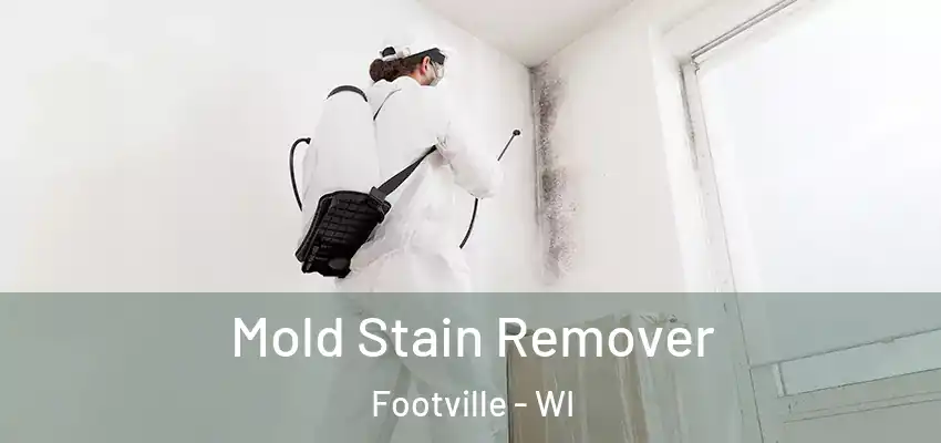  Mold Stain Remover Footville - WI