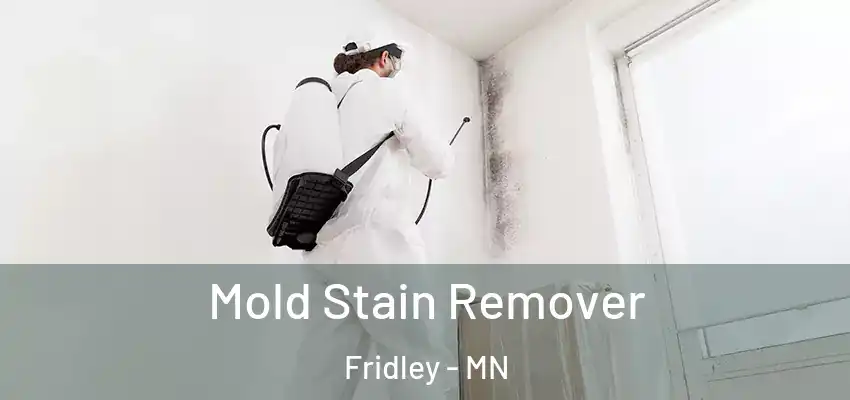  Mold Stain Remover Fridley - MN