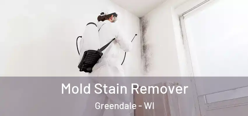  Mold Stain Remover Greendale - WI