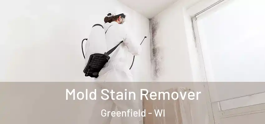  Mold Stain Remover Greenfield - WI