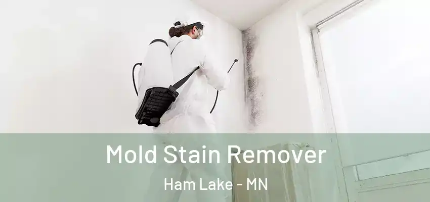  Mold Stain Remover Ham Lake - MN