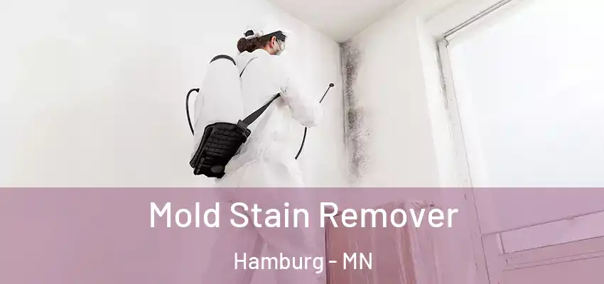  Mold Stain Remover Hamburg - MN