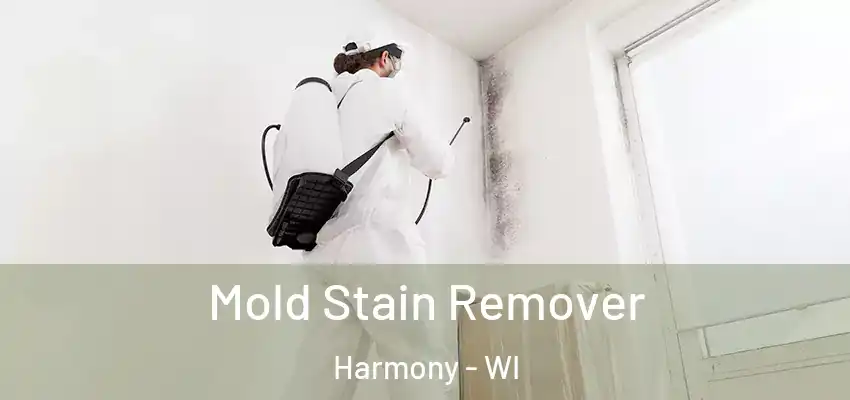  Mold Stain Remover Harmony - WI