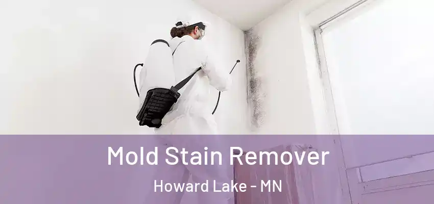  Mold Stain Remover Howard Lake - MN