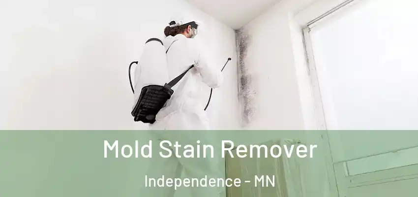  Mold Stain Remover Independence - MN