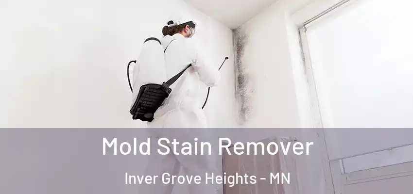  Mold Stain Remover Inver Grove Heights - MN
