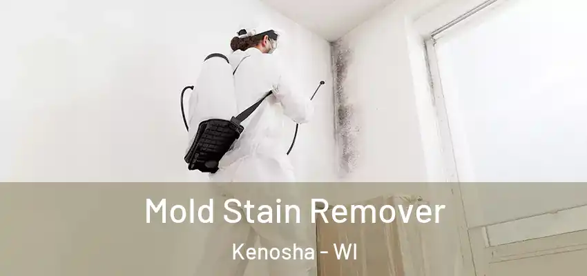  Mold Stain Remover Kenosha - WI