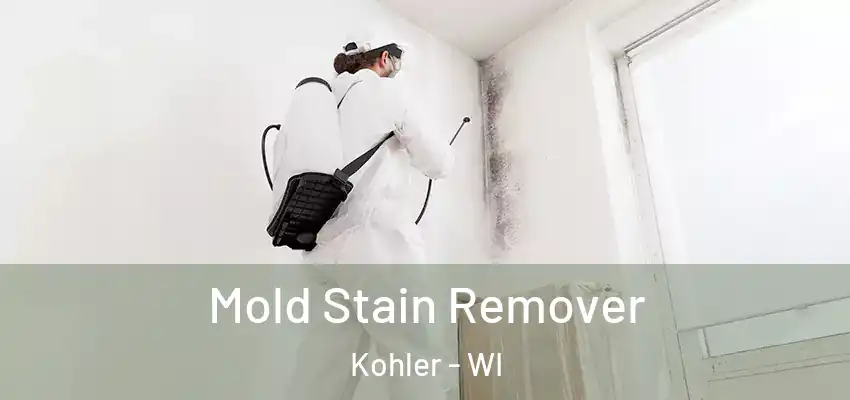  Mold Stain Remover Kohler - WI