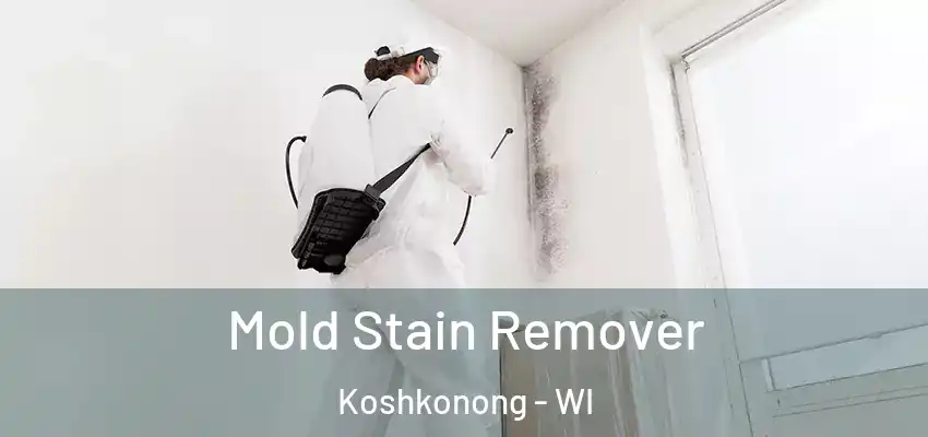 Mold Stain Remover Koshkonong - WI